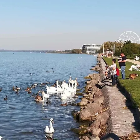 In Siofok/balaton 19854 * שיופוק
